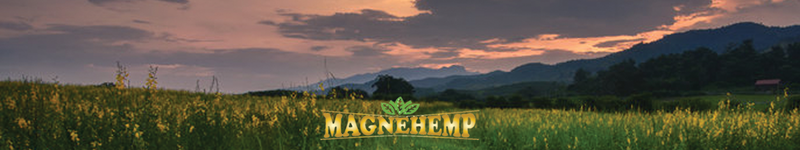 Magnemg Mg12 Topical Magnesium Wellness & Recovery Products